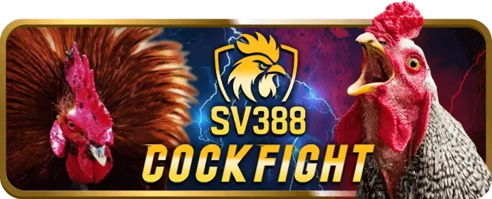 Hướng dẫn bắt đầu chơi tại 23win01 khuyến mãi